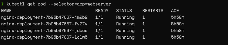 Web Server